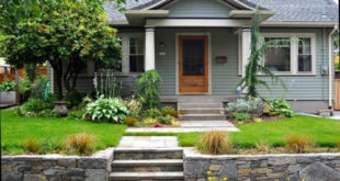 Những vị trí trồng cây phong thủy hút tài lộc trong nhà